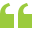 Alternate Text